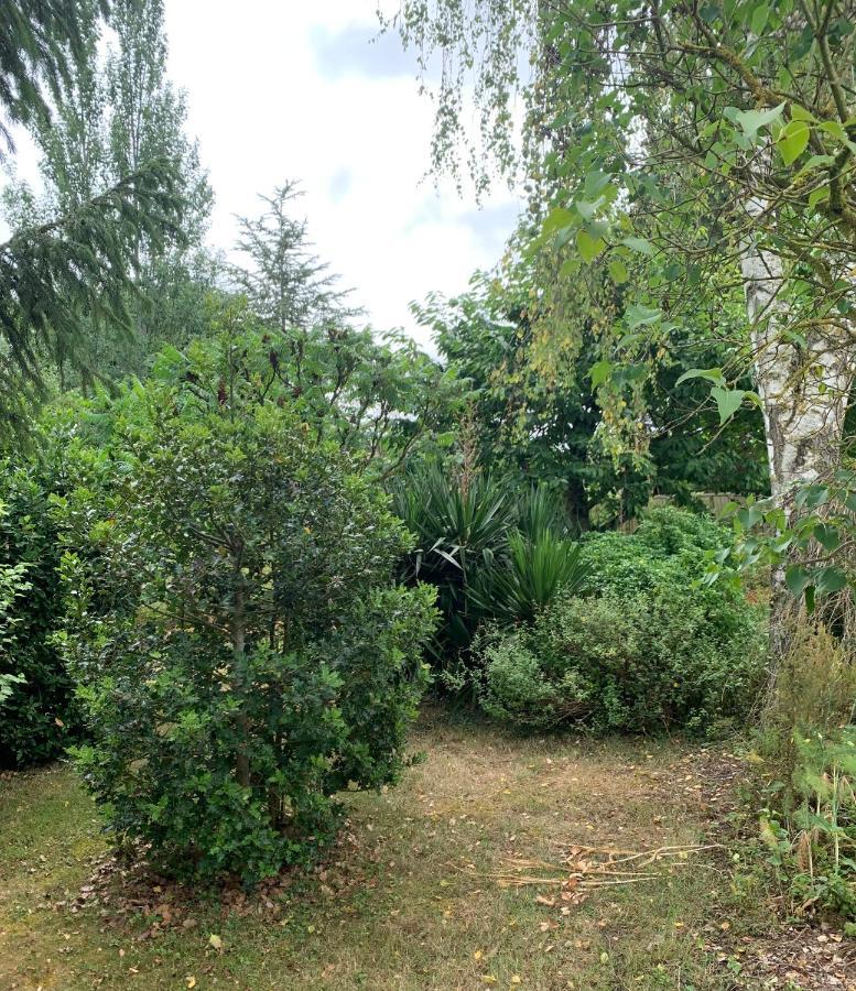 Maison D'Hotes La Chabanaise - Marais Poitevin Cramchaban Zewnętrze zdjęcie